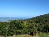 060304_coromandel_hotwater02