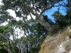 060305_cathedral_cove07