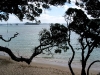 060305_cathedral_cove16