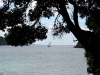 060305_cathedral_cove17