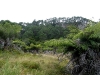 060305_cathedral_cove28