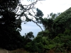 060305_cathedral_cove30