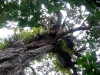 060305_cathedral_cove31