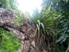 060305_cathedral_cove32
