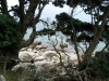060305_cathedral_cove34