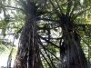 060305_cathedral_cove36