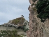 060305_cathedral_cove52