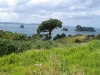 060305_cathedral_cove55
