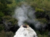 060306_geyser02