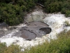 060306_geyser14