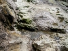 060306_geyser33