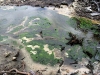 060306_geyser39