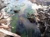 060306_geyser45