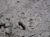 060306_geyser68