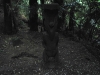 060306_mitai_maori10