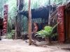060306_mitai_maori19