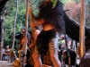 060306_mitai_maori25