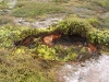 060307_craters_of_moon08