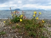 060308_lake_taupo08