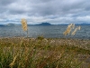 060308_lake_taupo09