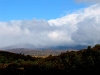 060308_trout33