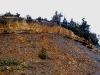 060308_trout34