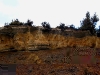 060308_trout35