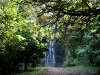 060406_piha_karekare17