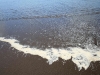 060406_piha_karekare21