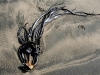 060406_piha_karekare31