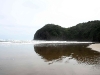 060406_piha_karekare33