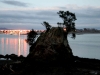 060421_whakatane02