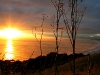 060421_whakatane20