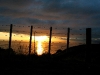 060421_whakatane21