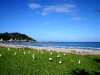 060422_lighthouse30
