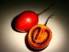 Tamarillo