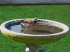 060816_whangarei22