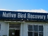 060816_whangarei23