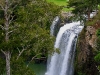 060816_whangarei30