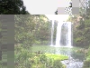 060816_whangarei32