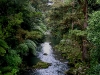 060816_whangarei33