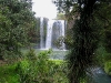 060816_whangarei34