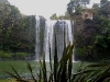 060816_whangarei35