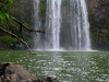060816_whangarei36
