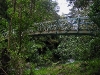 060816_whangarei37