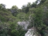 061106_abeltasman08.jpg