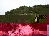 061106_abeltasman09.jpg