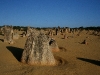 061205cervantes24.jpg