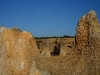 061205cervantes32.jpg