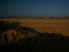 061205cervantes37.jpg